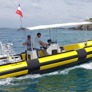 ZEPPELIN XV ALU 930 à vendre