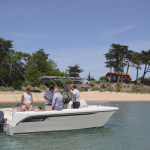 OCQUETEAU OSTREA 600 T-Top à vendre
